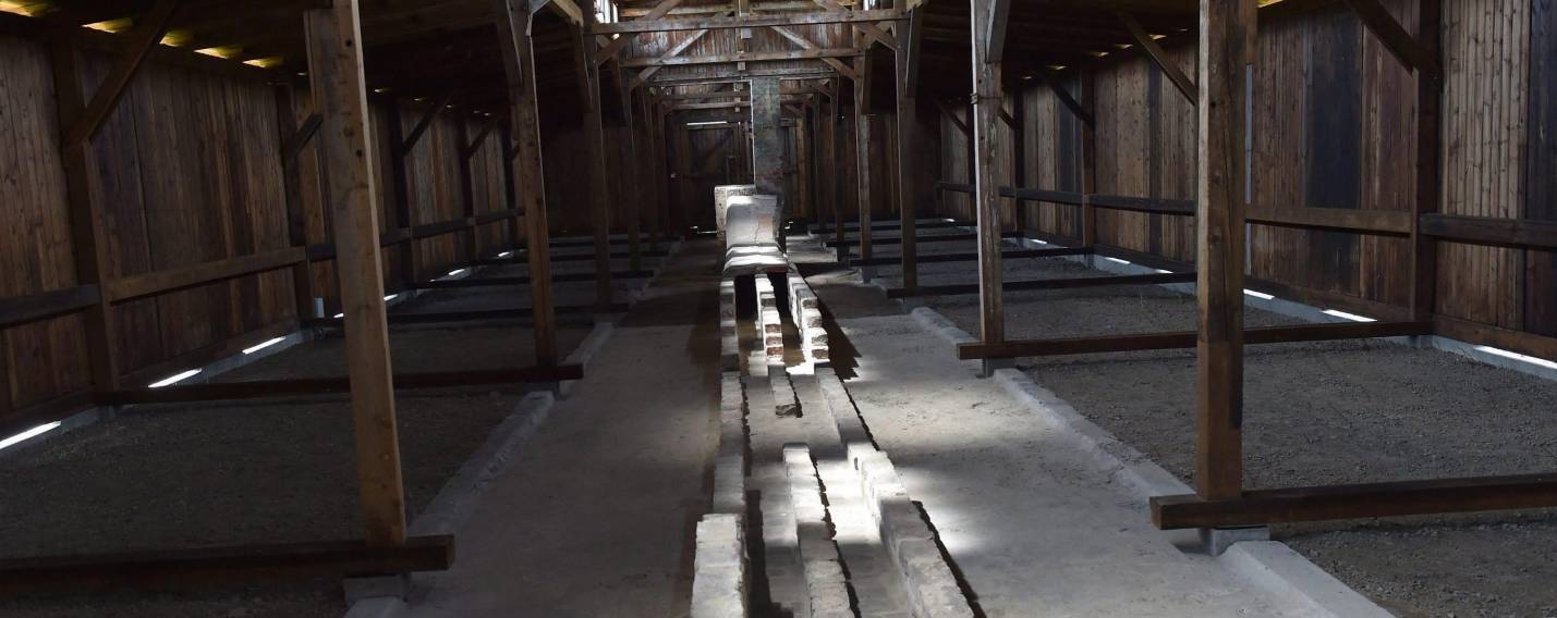 auschwitz 2