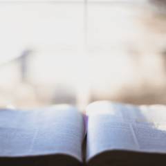 Volevo chiedere se la direzione spirituale preveda lo stesso “segreto confessionale” della confessione, e, se differisce invece, in che cosa.