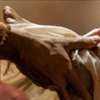 Lectio Magistralis dell’Em.mo Cardinale Pietro Parolin, Segretario di Stato, Cardinale Protettore e Gran Cancelliere della Pontificia Accademia Ecclesiastica