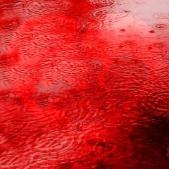 Ana Ruiz: “L'aborto non riguarda solo il bambino, ma anche la donna”.”