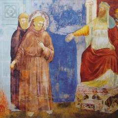 Suetta: la vera carità verso i musulmani è annunciare Cristo