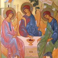 Angelus 31 maggio 2026