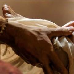 Accettati come sei, oppure no? - Antropologia cristiana e Persone con tendenza omoaffettiva