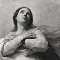 Angelus 15 agosto 2026