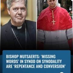 LA CHIESA HA BISOGNO DI SANTI NON DI STRUTTURE