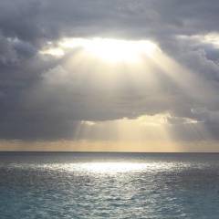 Why Creation Matters: The Trinitarian Case for Environmental Stewardship