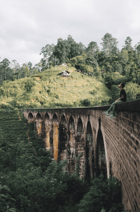 Sri Lanka by Alex Azabache on Unsplash
