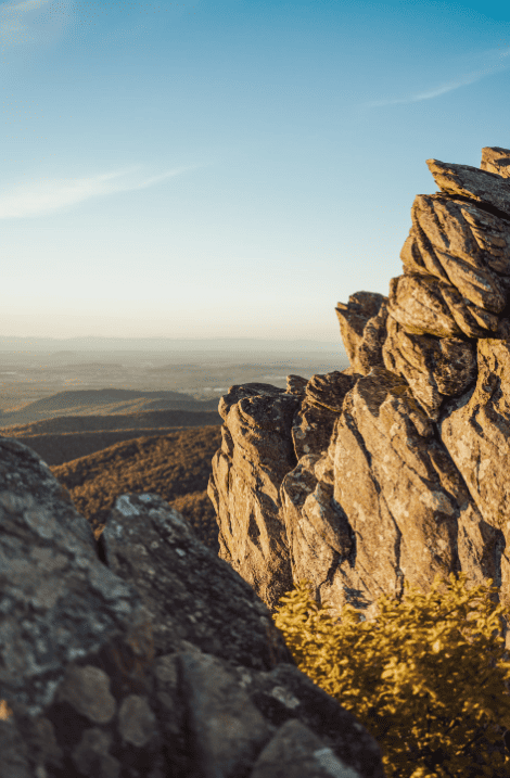 Virginia by nathaniel Villaire on Unsplash