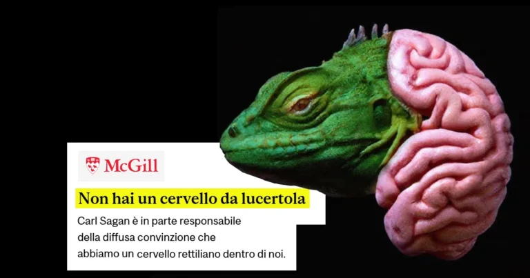 cervello rettiliano