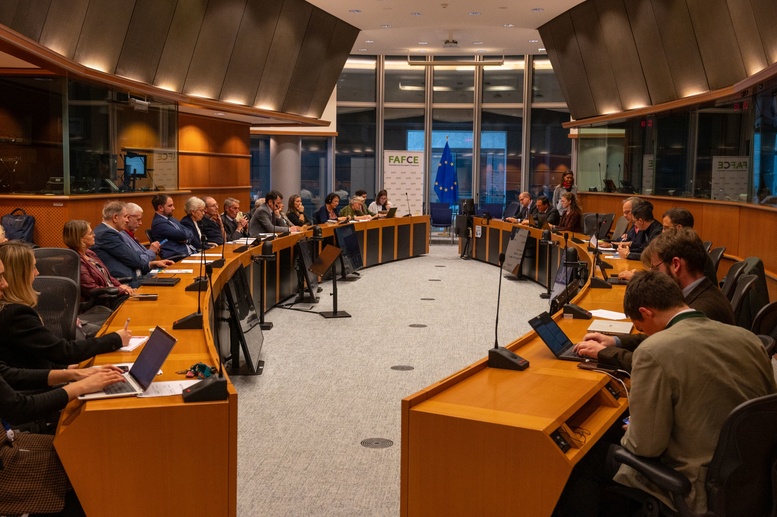 FAFCE