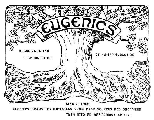 eugenics tree