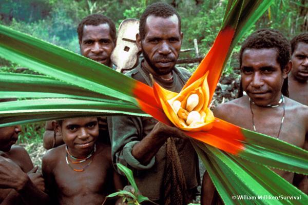popoli indigeni e agricoltura