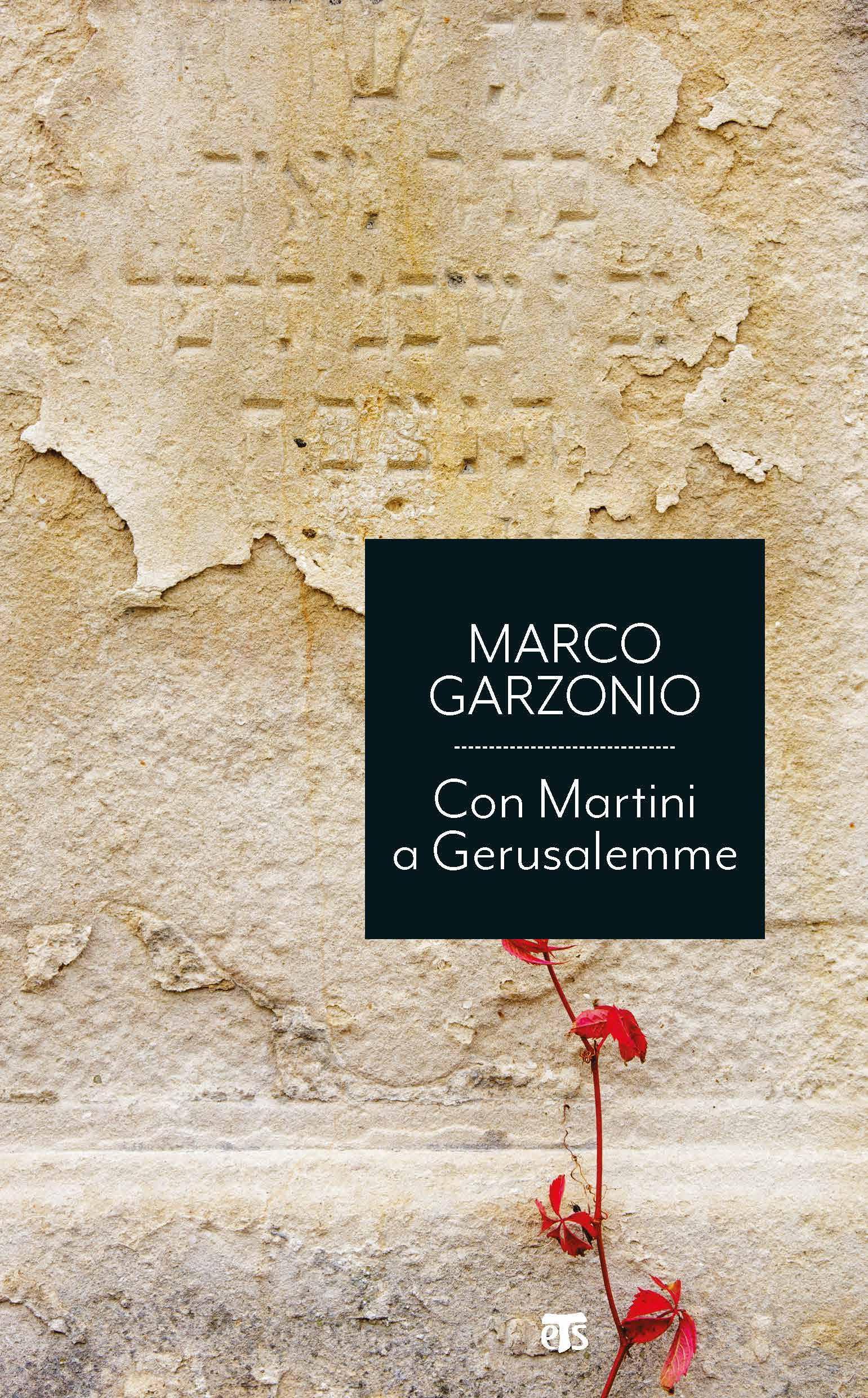 Cover Garzonio economici