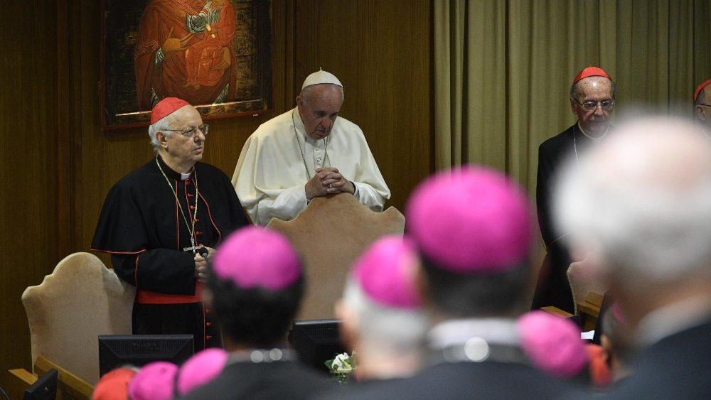 next synod 2022