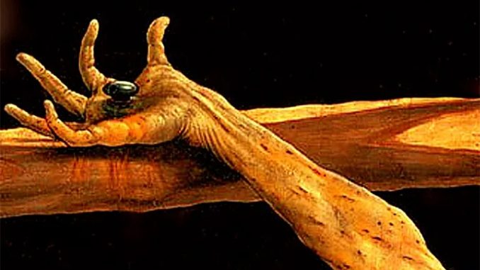 Detail from The Crucifixion from the Isenheim Altarpiece c1512 15 by Matthias Grünewald Image WikiArt