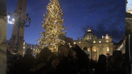 albero san pietro