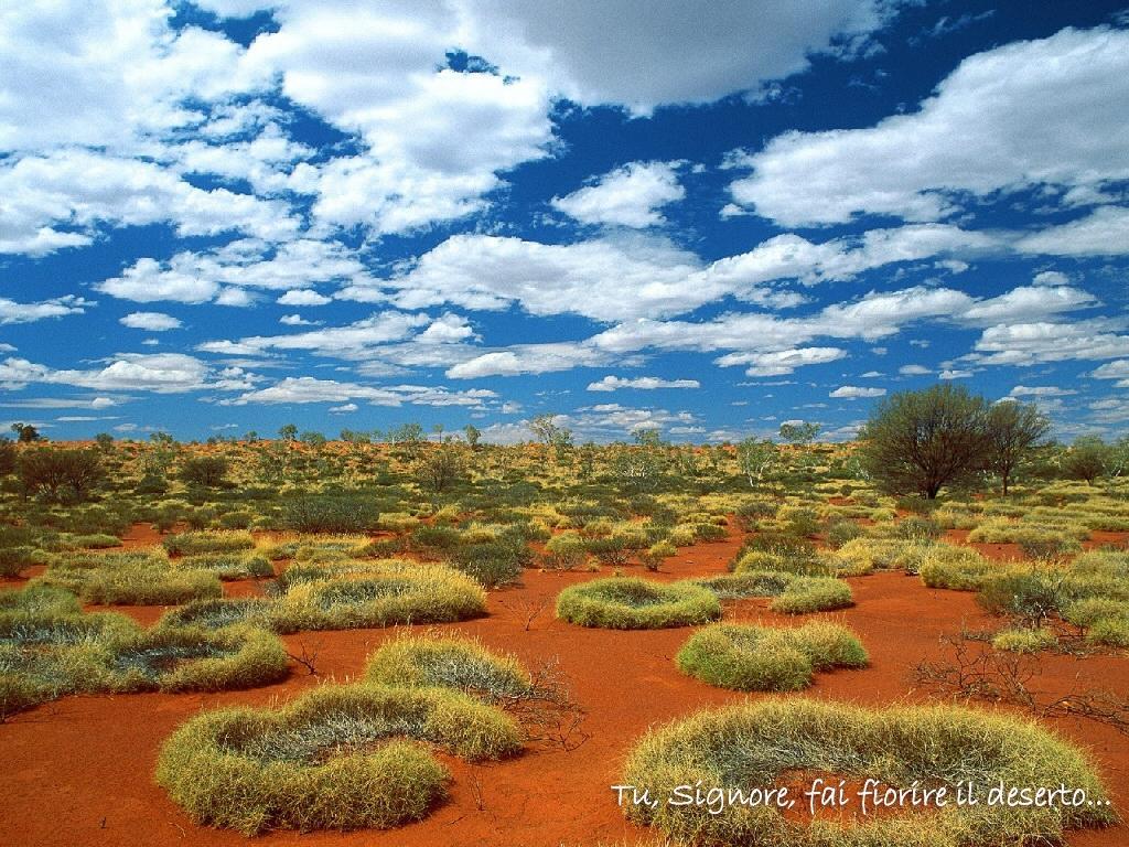 deserto.jpg deserto.jpg