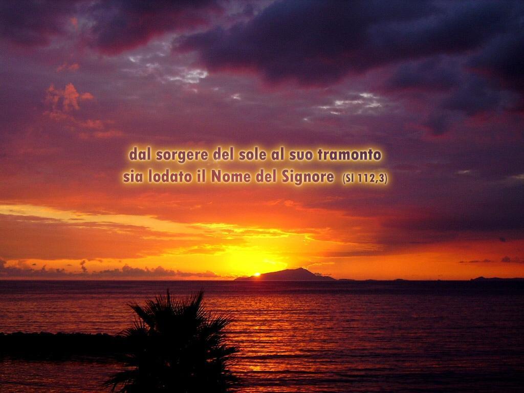 mare1.jpg mare1.jpg