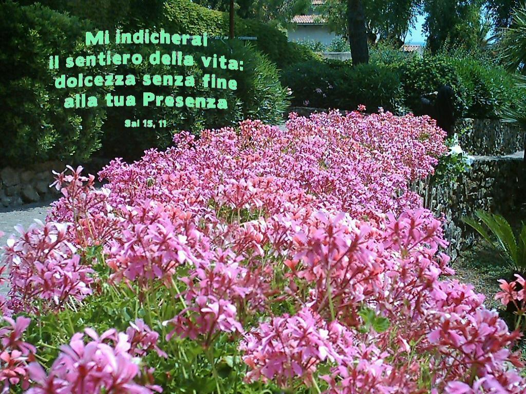 sentierovita.jpg sentierovita.jpg