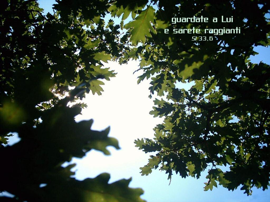 sguardo.jpg sguardo.jpg