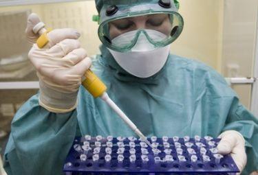 eugenetica1R375 28ago08