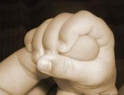 immagine-generica02 thumb10096