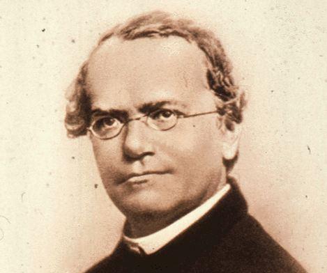 j-mendel