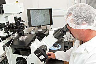 lab-microscopio